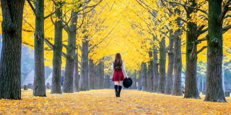 Top 10 Fall Travel Ideas
